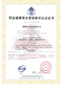 修改_0000_职业健康安全管理体系认证证书.jpg